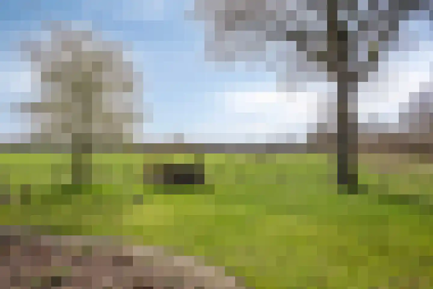 Koekoeksweg 12 Dwingeloo thumbnail 42