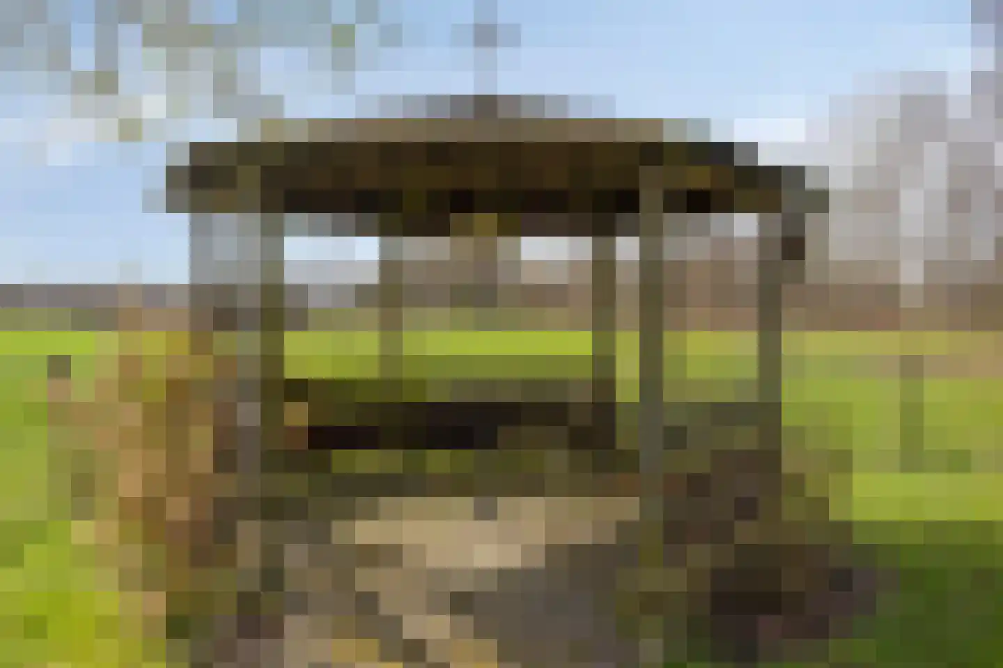 Koekoeksweg 12 Dwingeloo thumbnail 43