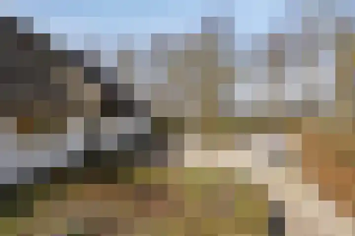 Koekoeksweg 12 Dwingeloo thumbnail 44