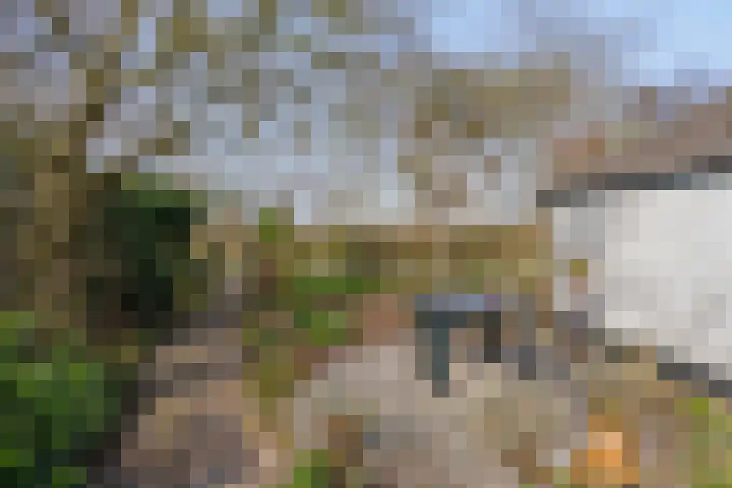 Koekoeksweg 12 Dwingeloo thumbnail 44