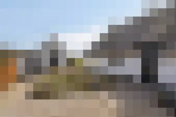 Koekoeksweg 12 Dwingeloo thumbnail 45