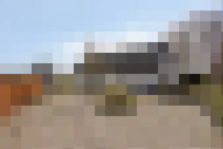 Koekoeksweg 12 Dwingeloo thumbnail 46