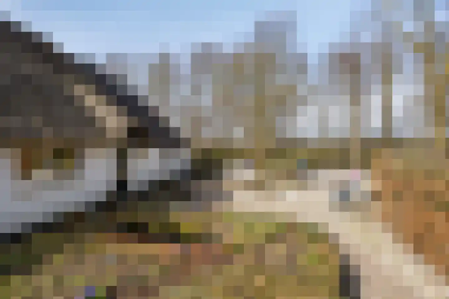 Koekoeksweg 12 Dwingeloo thumbnail 47