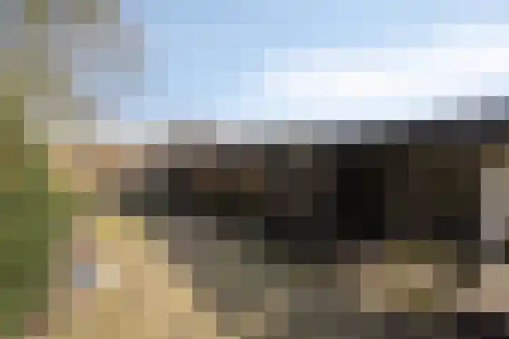 Koekoeksweg 12 Dwingeloo thumbnail 47