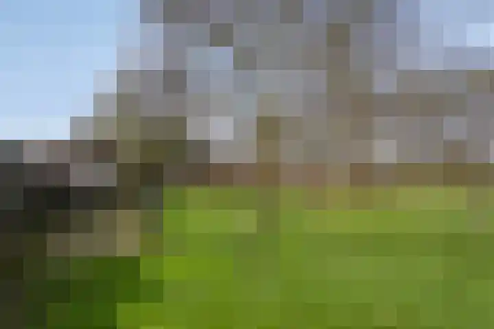 Koekoeksweg 12 Dwingeloo thumbnail 48