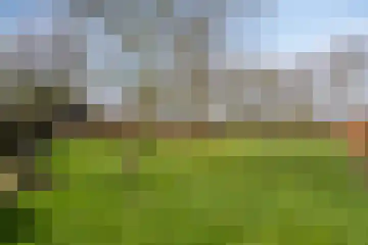 Koekoeksweg 12 Dwingeloo thumbnail 49