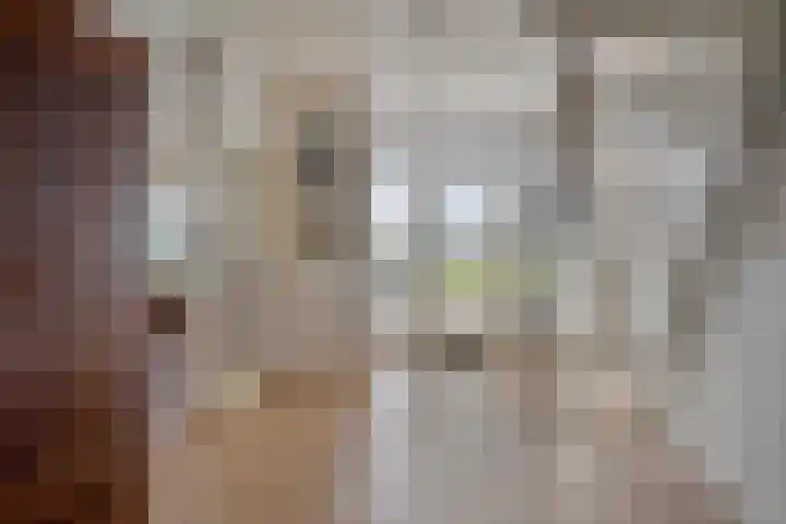 Koekoeksweg 12 Dwingeloo thumbnail 5