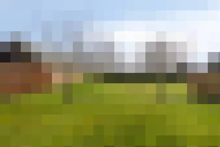 Koekoeksweg 12 Dwingeloo thumbnail 50