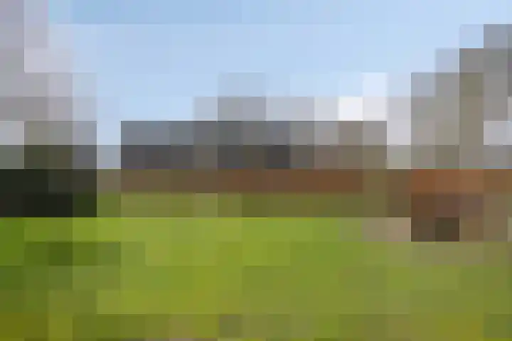 Koekoeksweg 12 Dwingeloo thumbnail 51