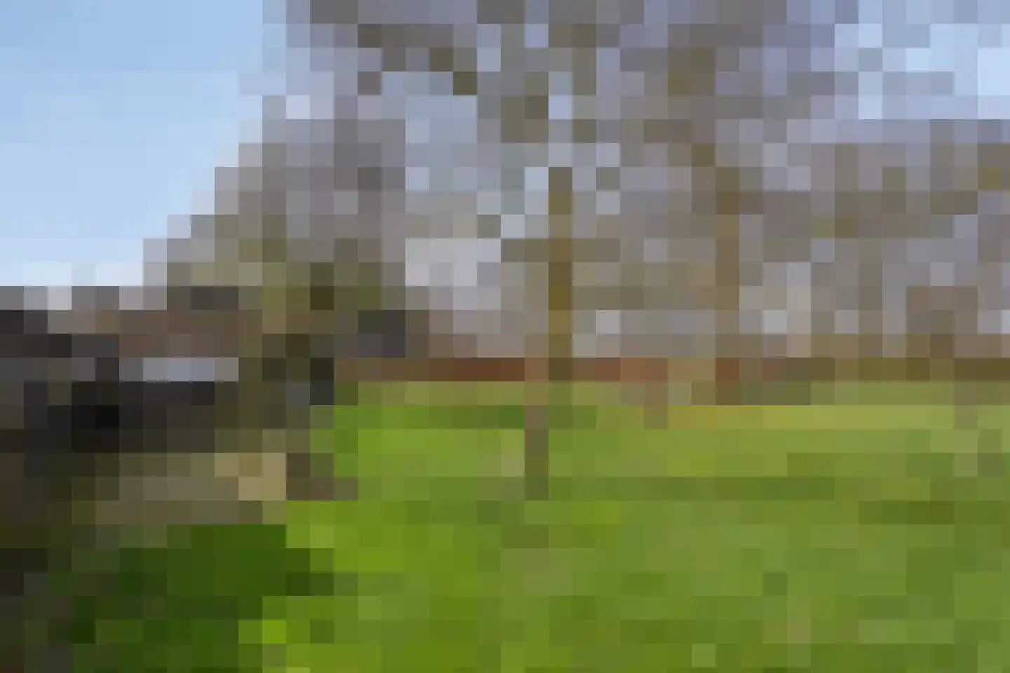 Koekoeksweg 12 Dwingeloo thumbnail 51