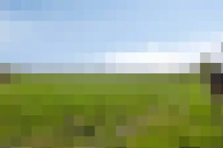 Koekoeksweg 12 Dwingeloo thumbnail 52