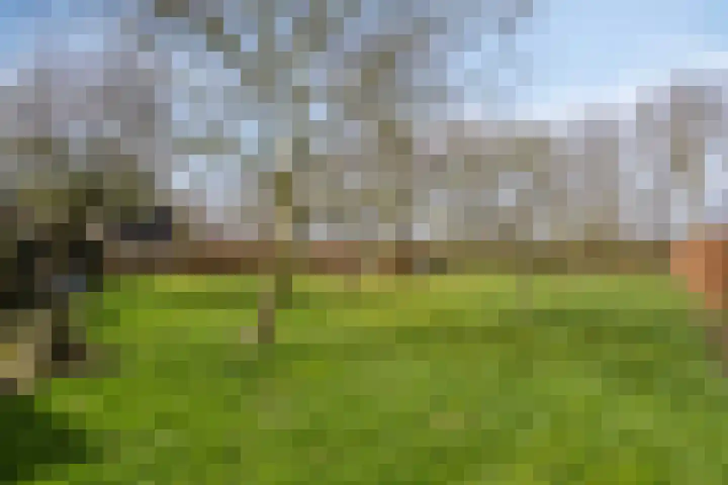 Koekoeksweg 12 Dwingeloo thumbnail 52