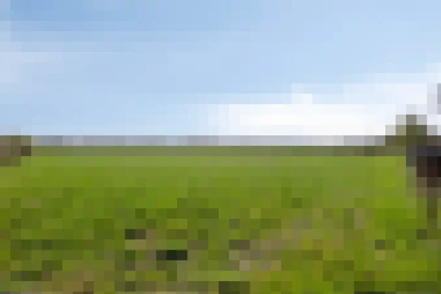 Koekoeksweg 12 Dwingeloo thumbnail 54