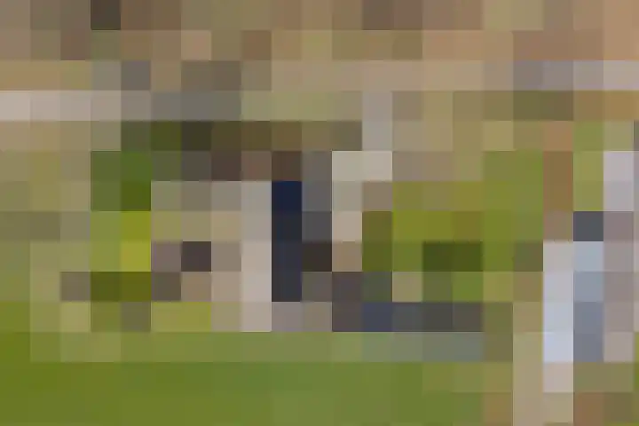 Koekoeksweg 12 Dwingeloo thumbnail 55