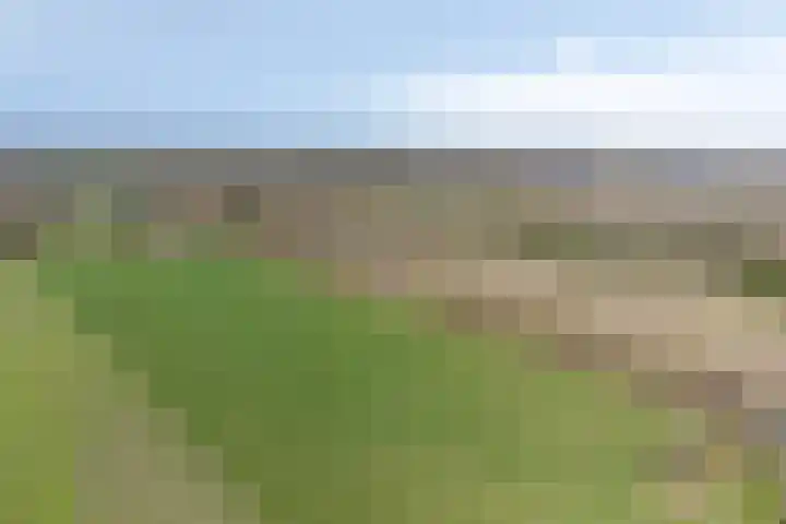 Koekoeksweg 12 Dwingeloo thumbnail 56