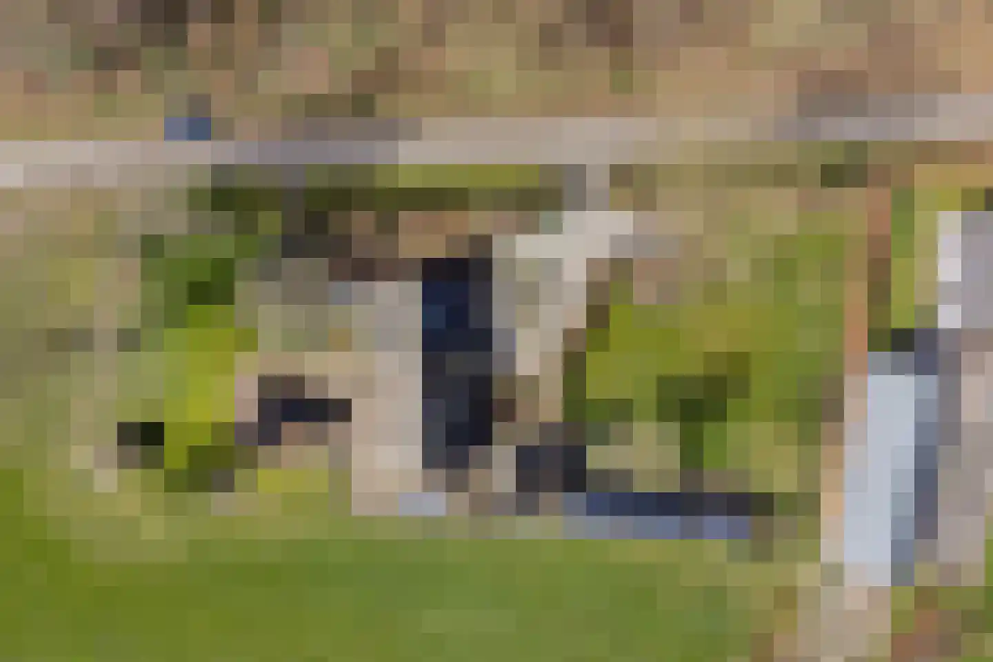 Koekoeksweg 12 Dwingeloo thumbnail 57