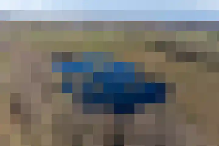 Koekoeksweg 12 Dwingeloo thumbnail 58