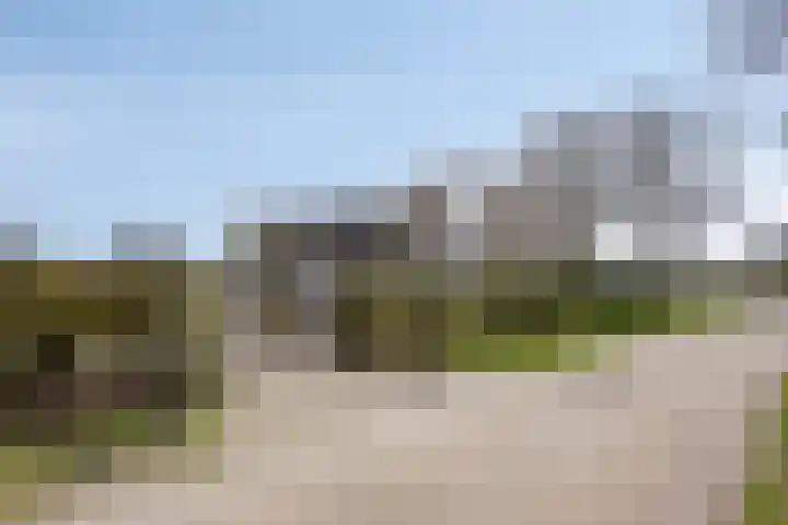 Koekoeksweg 12 Dwingeloo thumbnail 59