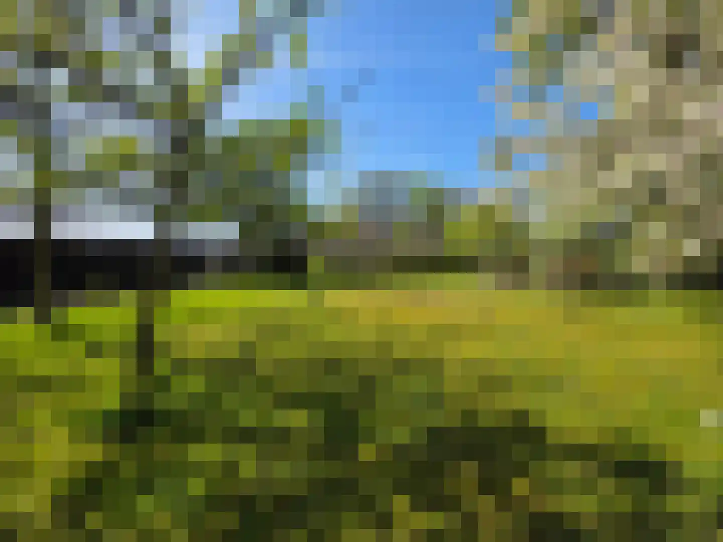 Koekoeksweg 12 Dwingeloo thumbnail 6