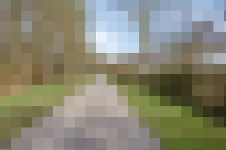 Koekoeksweg 12 Dwingeloo thumbnail 60