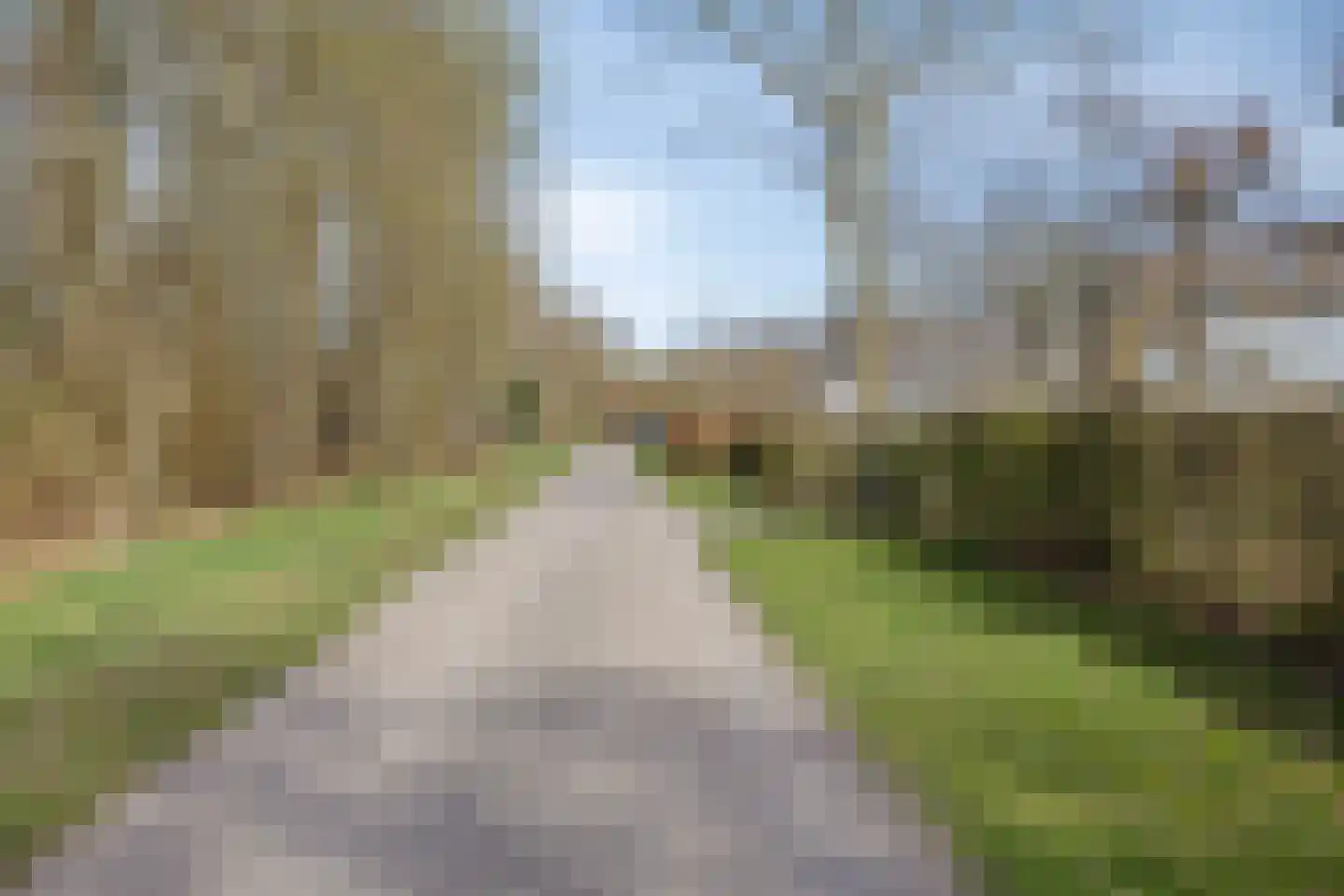 Koekoeksweg 12 Dwingeloo thumbnail 62
