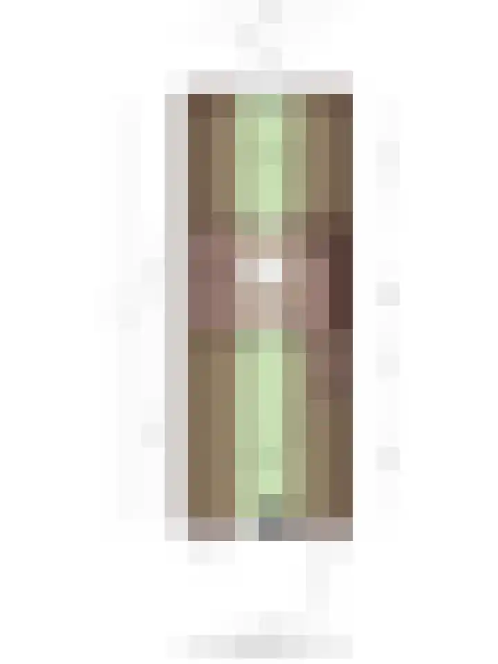 Koekoeksweg 12 Dwingeloo thumbnail 62