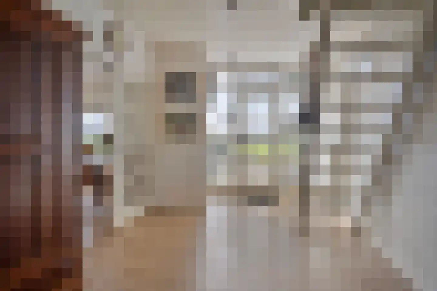 Koekoeksweg 12 Dwingeloo thumbnail 7