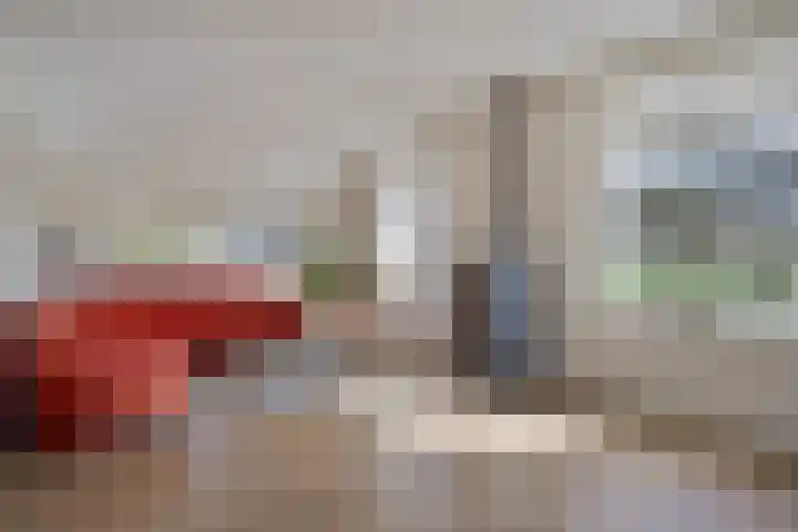 Koekoeksweg 12 Dwingeloo thumbnail 7