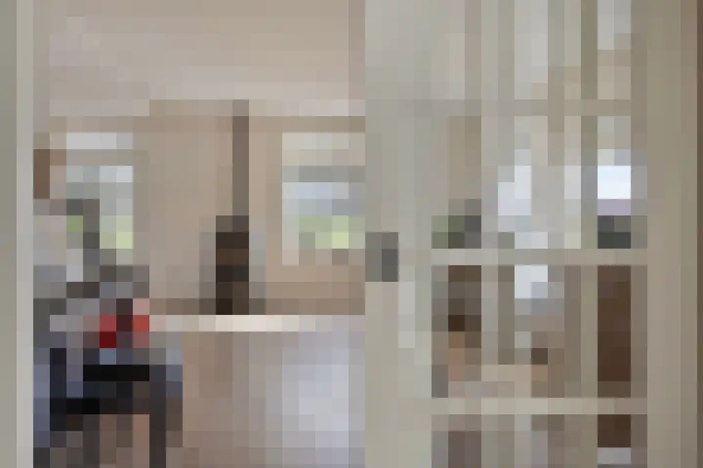 Koekoeksweg 12 Dwingeloo thumbnail 8
