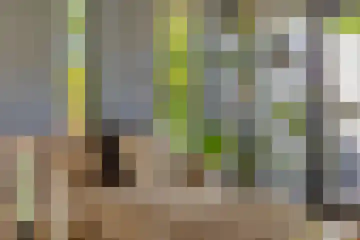 Koekoeksweg 13 Vaassen thumbnail 12