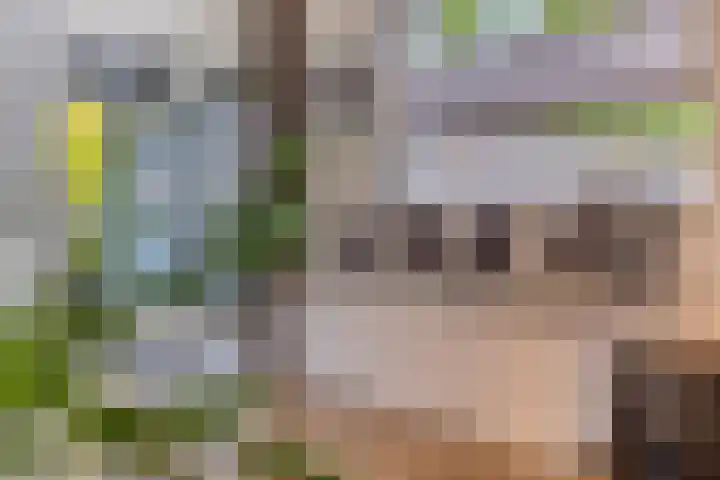 Koekoeksweg 13 Vaassen thumbnail 14