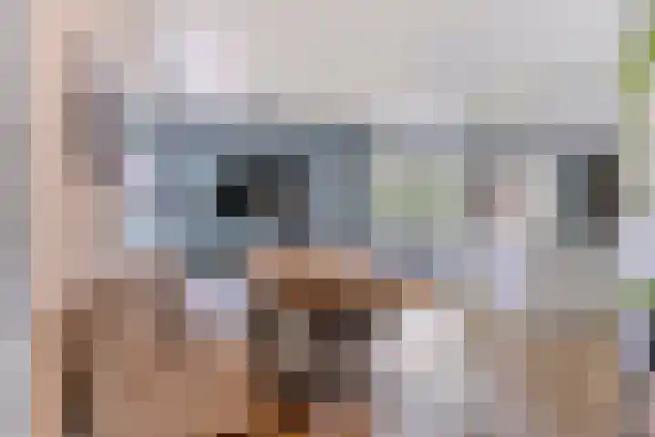 Koekoeksweg 13 Vaassen thumbnail 16
