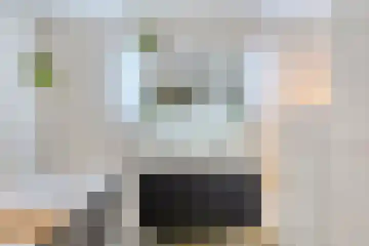 Koekoeksweg 13 Vaassen thumbnail 20