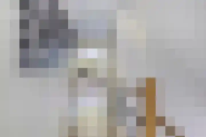 Koekoeksweg 13 Vaassen thumbnail 26