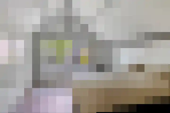 Koekoeksweg 13 Vaassen thumbnail 27