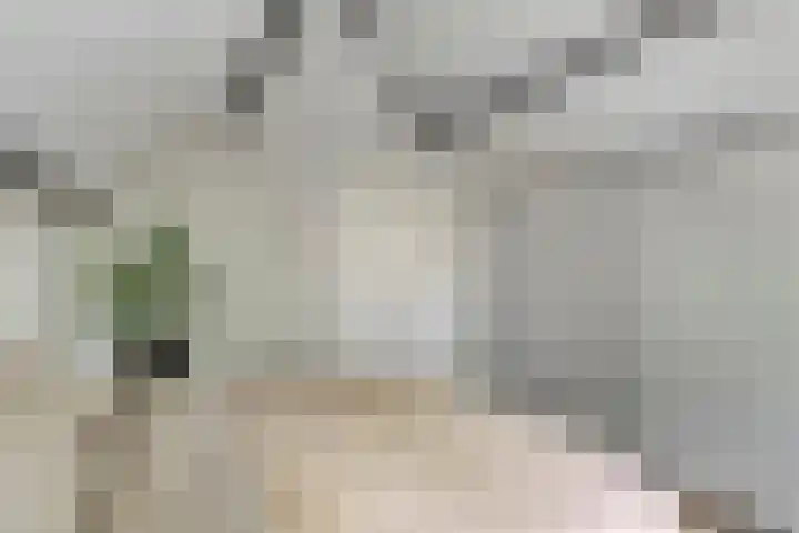 Koekoeksweg 13 Vaassen thumbnail 28