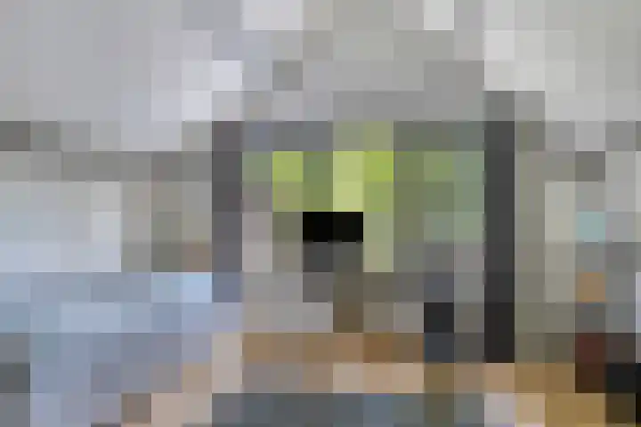 Koekoeksweg 13 Vaassen thumbnail 30