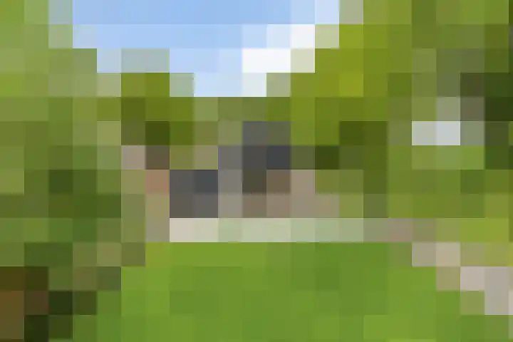 Koekoeksweg 13 Vaassen thumbnail 32