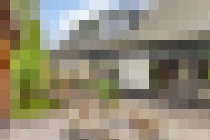 Koekoeksweg 13 Vaassen thumbnail 34
