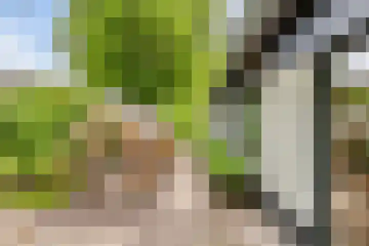 Koekoeksweg 13 Vaassen thumbnail 35