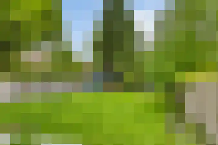 Koekoeksweg 13 Vaassen thumbnail 38