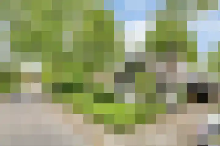 Koekoeksweg 13 Vaassen thumbnail 39