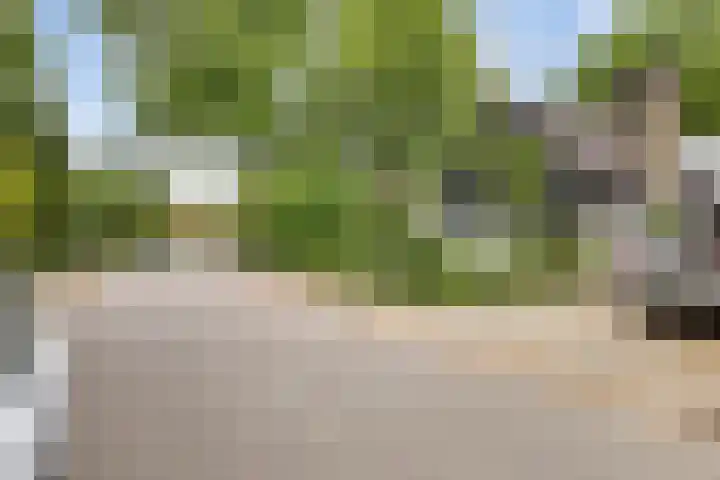 Koekoeksweg 13 Vaassen thumbnail 40