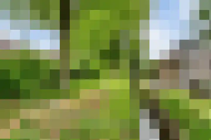 Koekoeksweg 13 Vaassen thumbnail 43