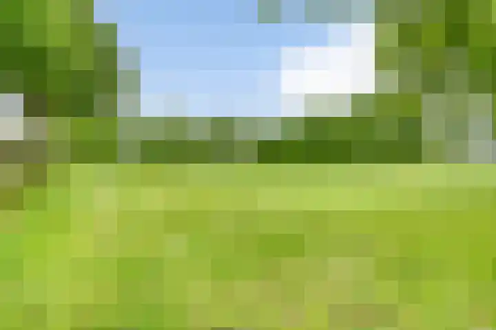 Koekoeksweg 13 Vaassen thumbnail 44