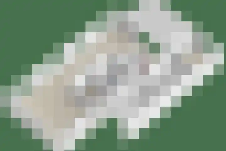 Koekoeksweg 13 Vaassen thumbnail 45