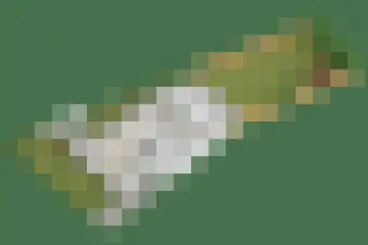 Koekoeksweg 13 Vaassen thumbnail 48