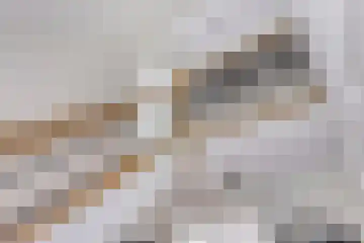 Koekoeksweg 13 Vaassen thumbnail 5