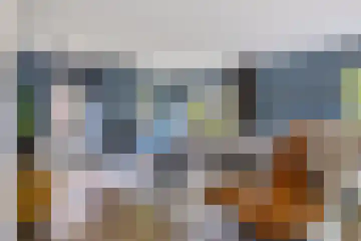 Koekoeksweg 13 Vaassen thumbnail 7