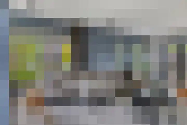 Koekoeksweg 13 Vaassen thumbnail 8